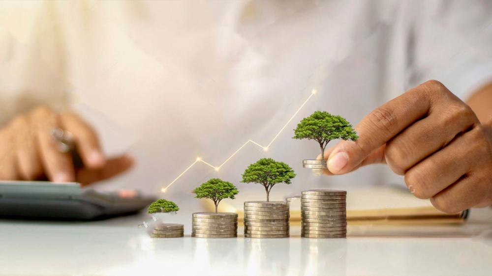 stock-photo-a-businessman-holding-a-coin-with-a-tree-that-grows-and-a-tree-that-grows-on-a-pile-of-money-the-1879675894.jpg